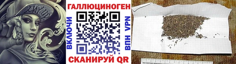 Псилоцибиновые грибы Psilocybine cubensis  Закаменск 